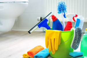 Messie Reinigung Falkensee